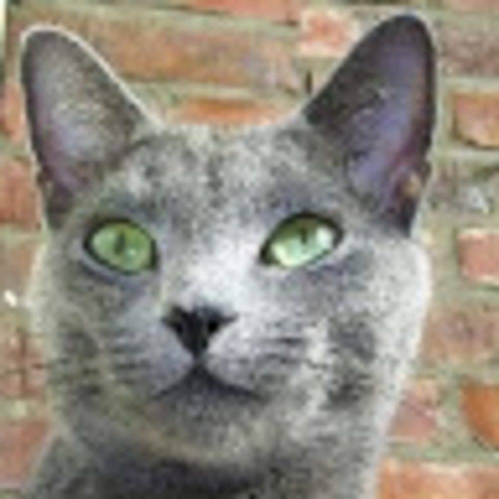 Meet your Posher, Amethyst